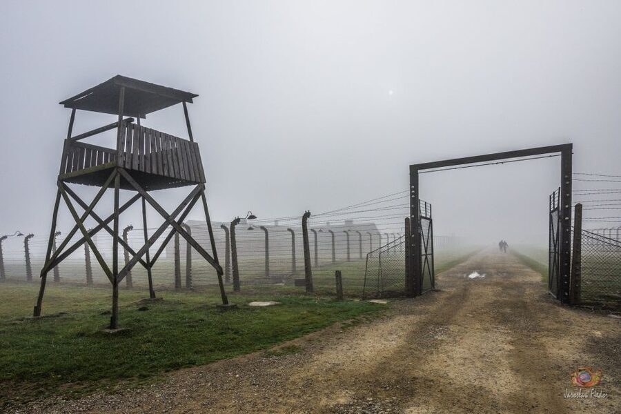 From Krakow: Auschwitz-Birkenau Live Guided Tour & Pickup - Auschwitz II-Birkenau: the scale hits harder