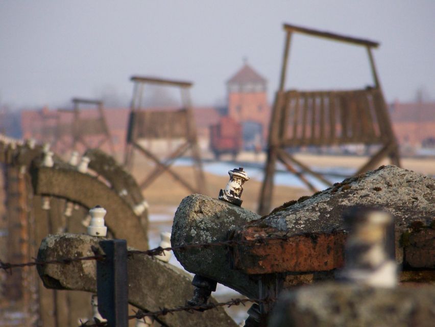 From Krakow: Auschwitz-Birkenau Live Guided Tour & Pickup - The museum sets the pace, so go with the flow