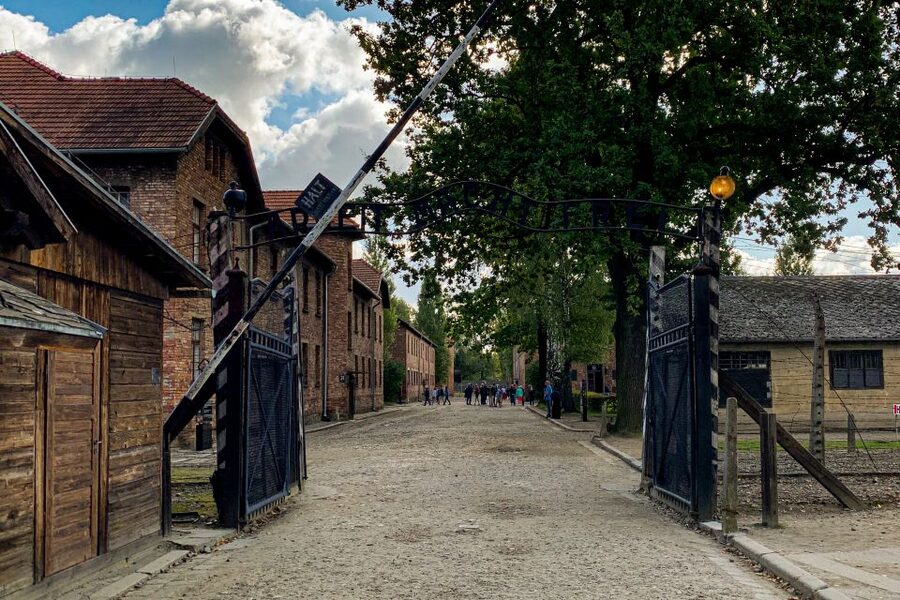 From Krakow: Auschwitz-Birkenau Memorial and Museum Tour - Walking stamina and your 15-minute break plan