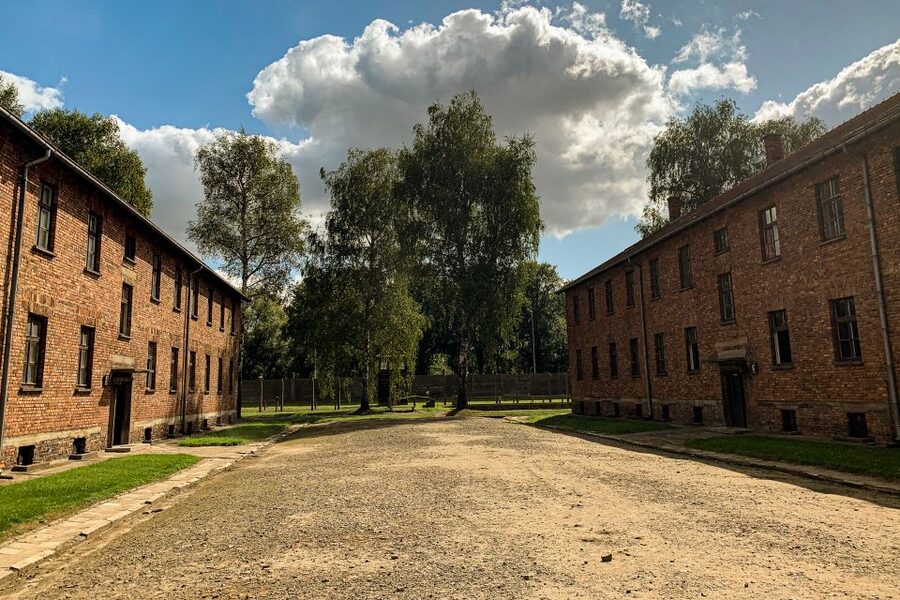 From Krakow: Auschwitz-Birkenau Memorial and Museum Tour - Getting in fast: skip-the-line and a serious ID check
