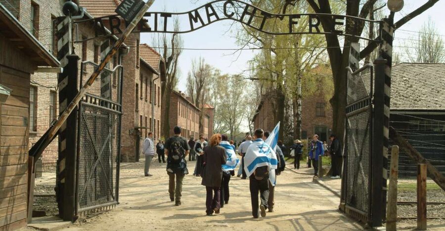From Krakow: Auschwitz-Birkenau Memorial and Museum Tour - Auschwitz I: prison dormitories, gas chambers, and the exhibition thread