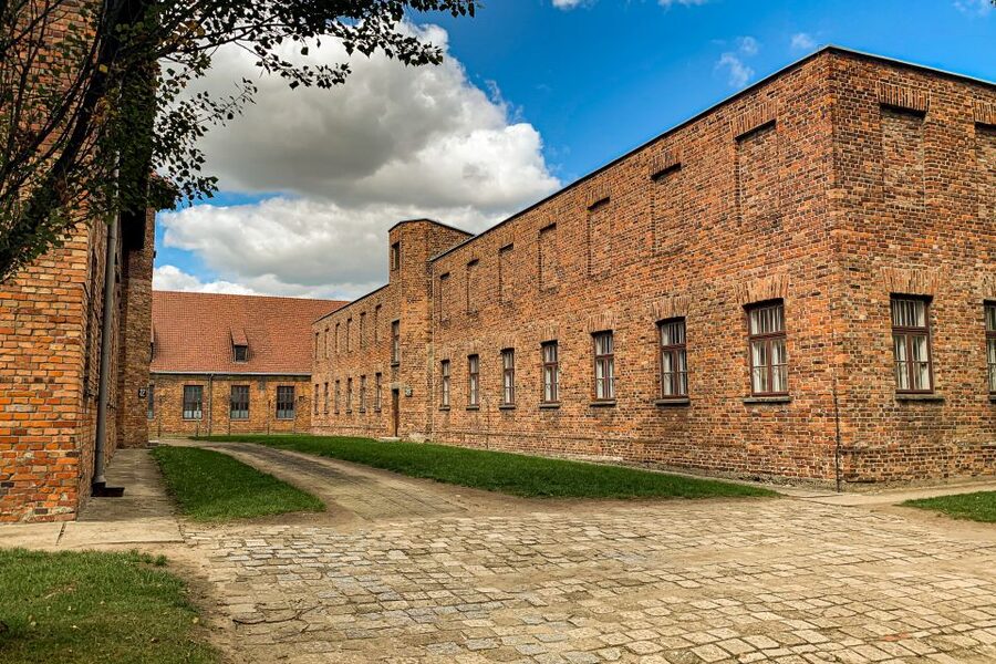 From Krakow: Auschwitz-Birkenau Memorial and Museum Tour - The liberation film: why the day ends with meaning, not just walking