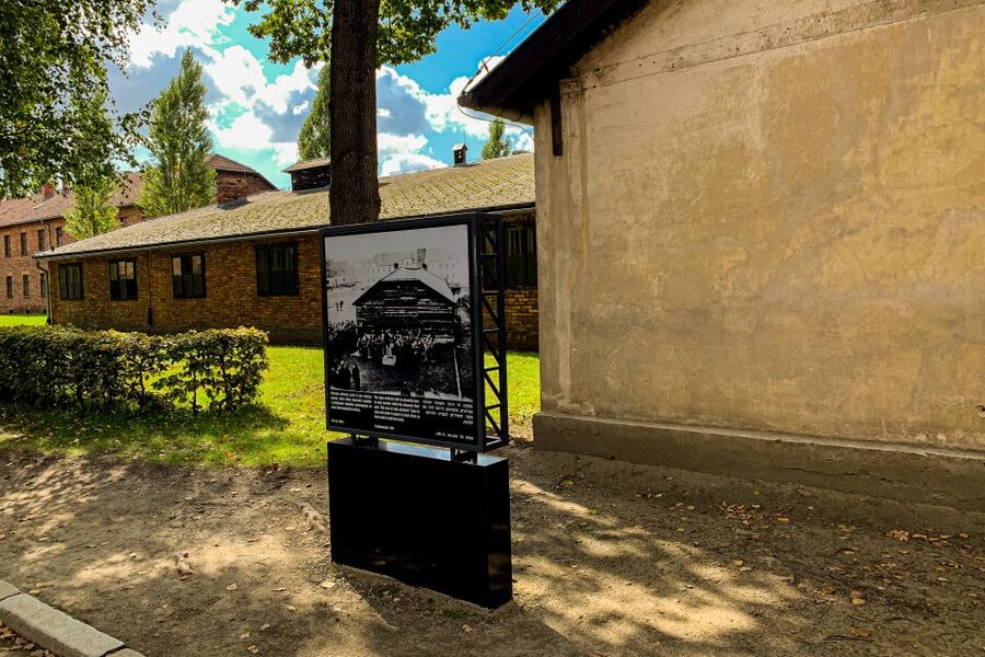 From Krakow: Auschwitz-Birkenau Memorial and Museum Tour - Price and value: what $81 really covers