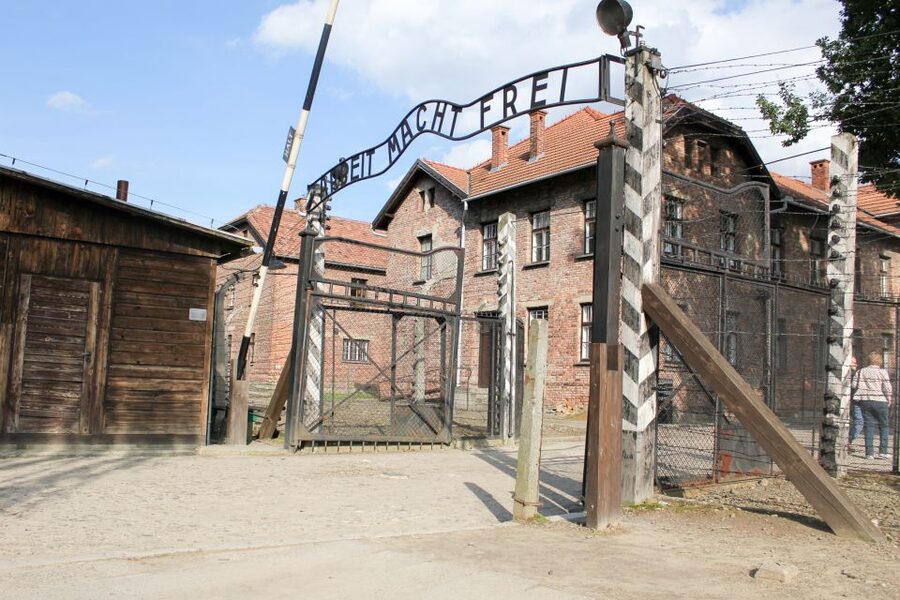 From Kraków: Auschwitz-Birkenau Memorial Guided Tour - Key things I’d make sure you notice