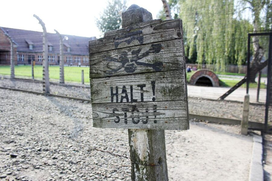 From Kraków: Auschwitz-Birkenau Memorial Guided Tour - The Auschwitz-Birkenau visit: seeing specific sites with guided context
