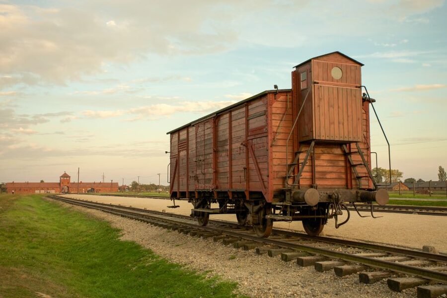 From Kraków: Auschwitz-Birkenau Memorial Guided Tour - The guide and small-group setup: how it changes your experience