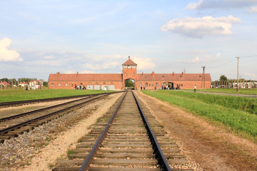 From Kraków: Auschwitz-Birkenau Memorial Guided Tour - When this tour makes sense, and when it might not