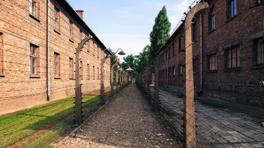 From Krakow: Auschwitz-Birkenau Memorial Private Tour - Should you book this Krakow to Auschwitz-Birkenau private tour?