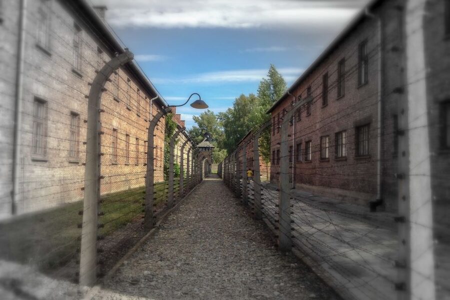 From Krakow: Auschwitz-Birkenau Private or Shared Tour - The Short Break and the Snacks You Should Actually Use