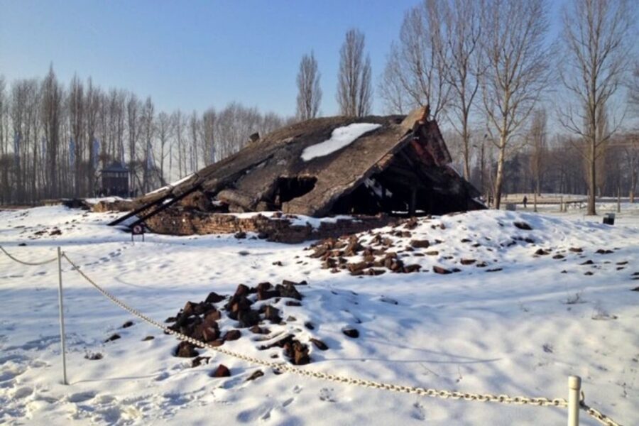 From Krakow: Auschwitz-Birkenau Private or Shared Tour - Birkenau in One Hour: What to Pay Attention to