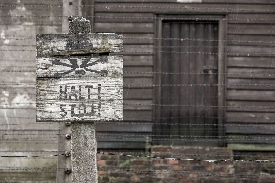 From Krakow: Auschwitz-Birkenau & Schindler's Factory Tour - The transfer routine: documentary time and why it helps