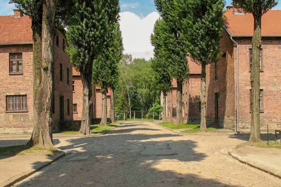 From Krakow: Auschwitz-Birkenau & Schindler's Factory Tour - Group size and comfort: where your experience can tilt