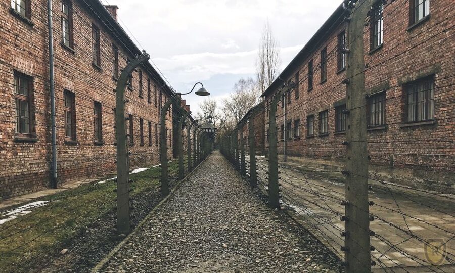 From Krakow: Auschwitz Birkenau Self-Guided Tour - Key highlights worth your attention