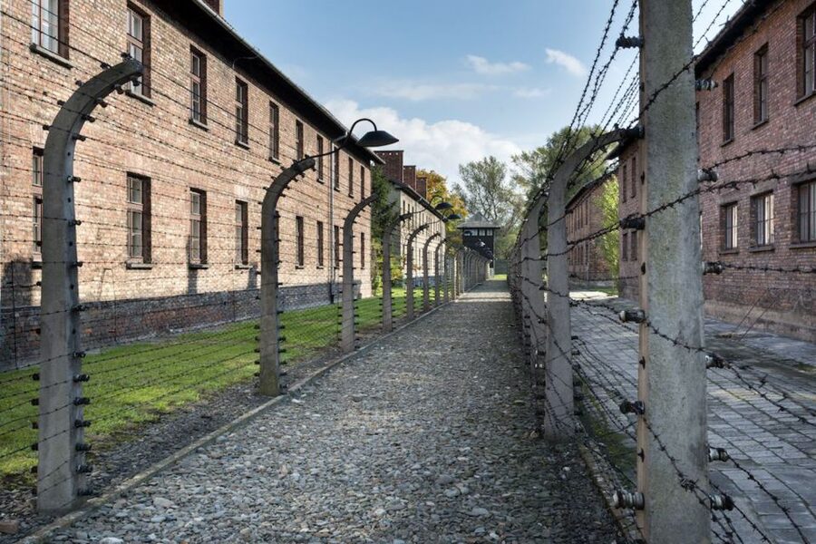 From Krakow: Auschwitz-Birkenau Tour - Auschwitz-Birkenau from Krakow: what you are really signing up for