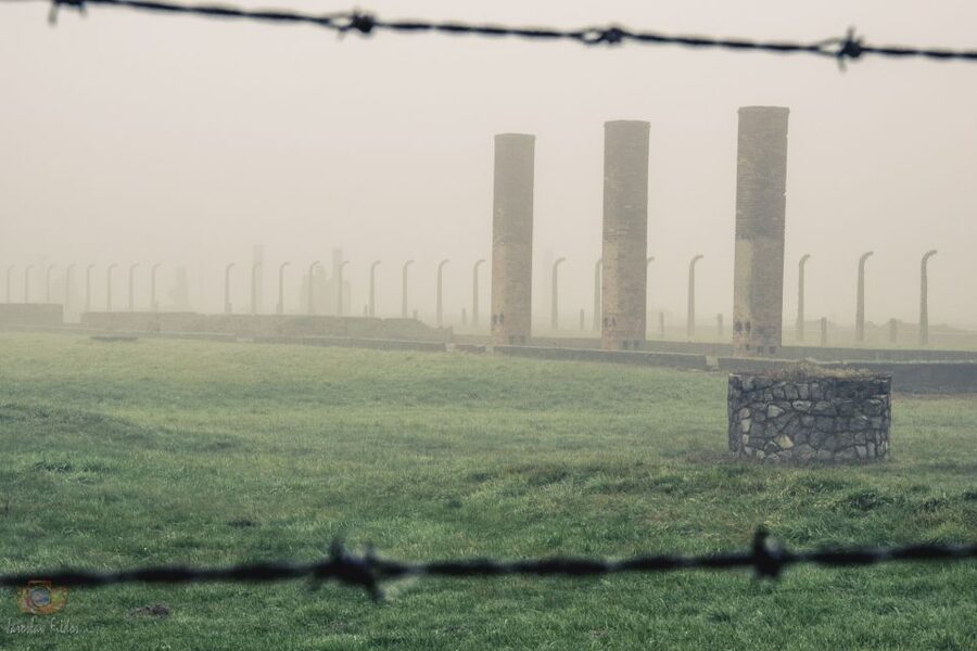 From Krakow: Auschwitz-Birkenau Tour with Transfer - Rules for Bags, Food, and What Not to Bring