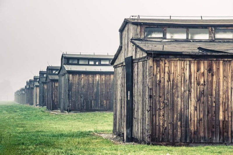 From Krakow: Auschwitz-Birkenau Tour with Transfer - Birkenau (Auschwitz II), Seeing the Scale of the Extermination Site