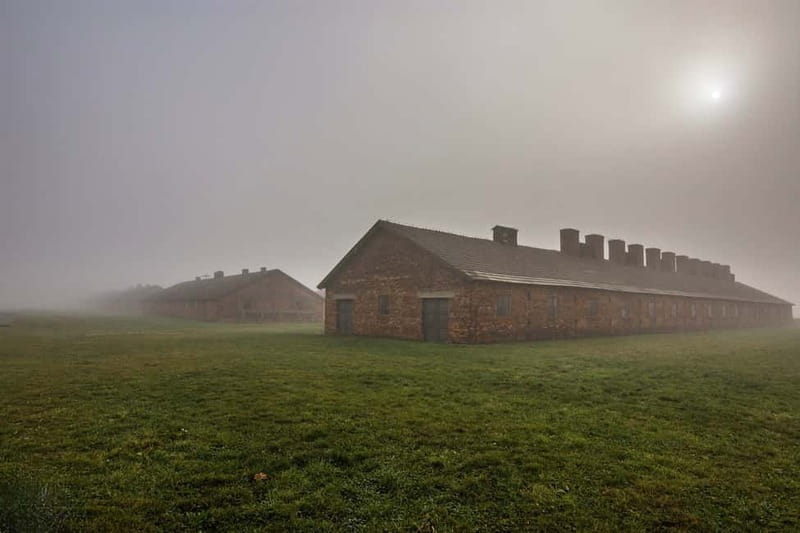 From Krakow: Auschwitz-Birkenau Tour with Transfer - What’s Included, What You Still Need to Handle