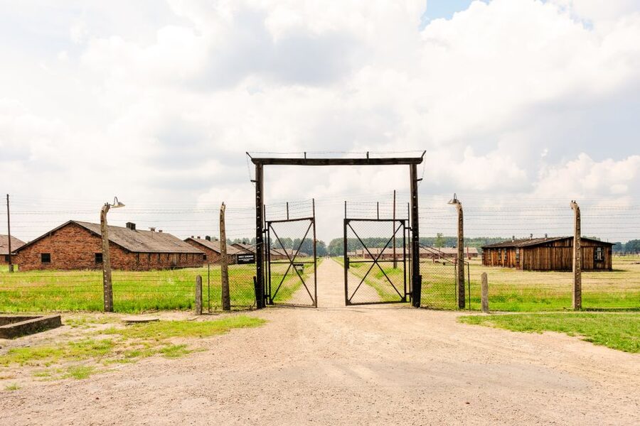 From Krakow: Auschwitz-Birkenau Tour with Transportation - The coach ride to Oświęcim: comfort, support, and pacing