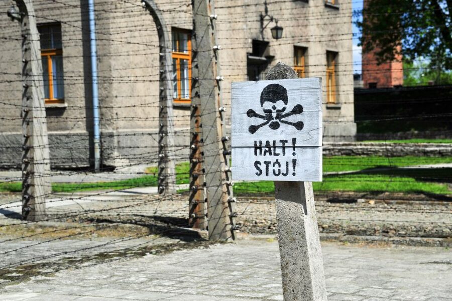 From Krakow: Auschwitz-Birkenau Tour with Transportation - Birkenau Memorial: using limited time to see the scale clearly