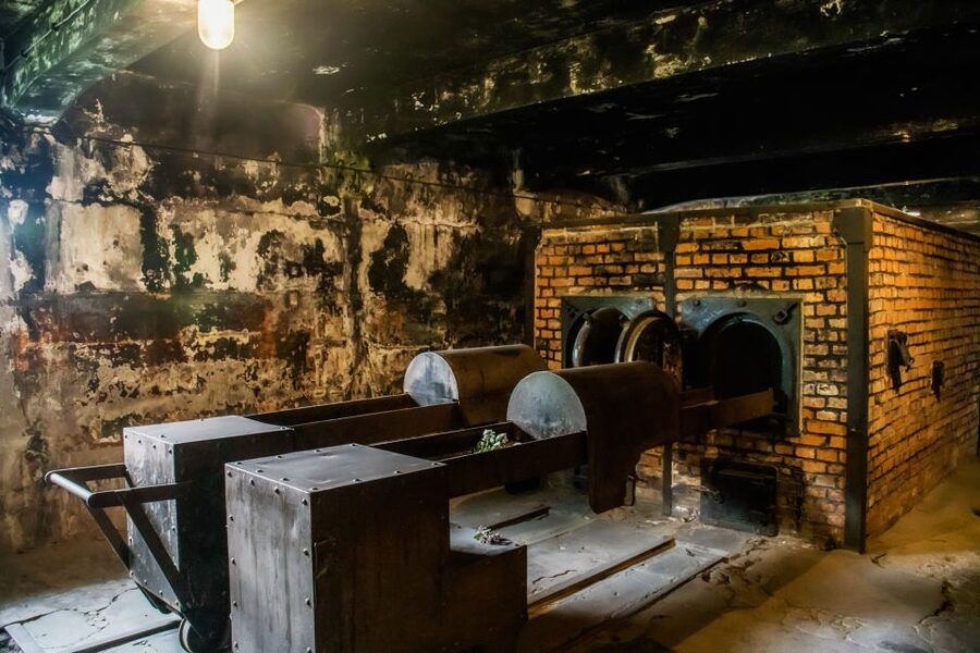 From Krakow: Auschwitz-Birkenau Tour with Transportation - Self-paced visiting with booklets in 19 languages (and real-world help)