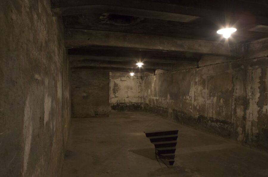 From Krakow: Auschwitz-Birkenau Tour - Pickup, timing, and the day’s rhythm in Krakow