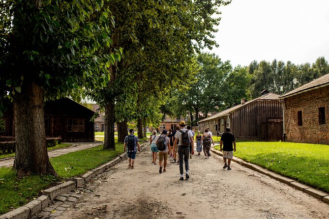 From Krakow: Auschwitz-Birkenau Trip with Transport - Auschwitz II Birkenau: why the scale hits in a different way