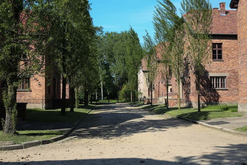From Krakow: Auschwitz Museum and Wieliczka Salt Mine Tour - Who this Kraków day fits best, and who should think twice