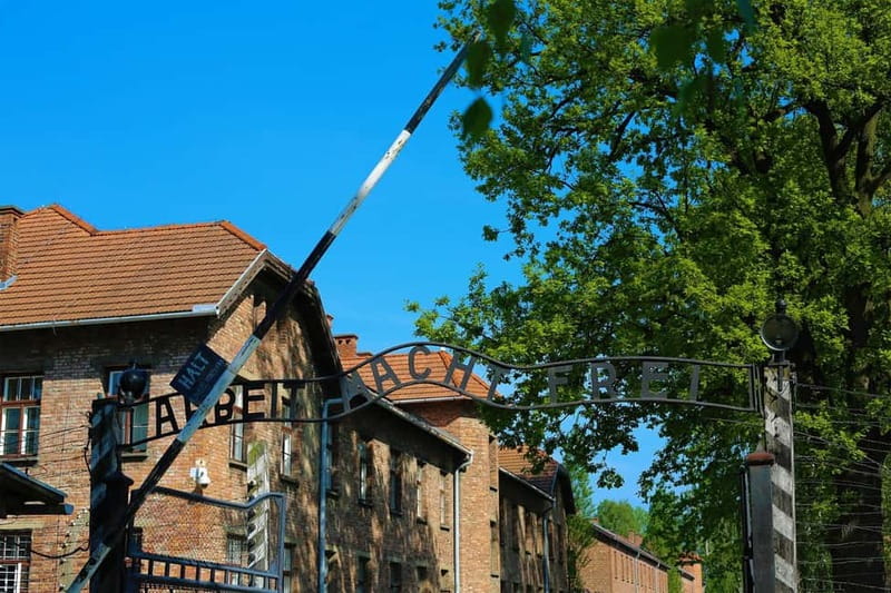 From Krakow: Auschwitz Museum and Wieliczka Salt Mine Tour - How the 10-hour schedule actually works (and why it matters)