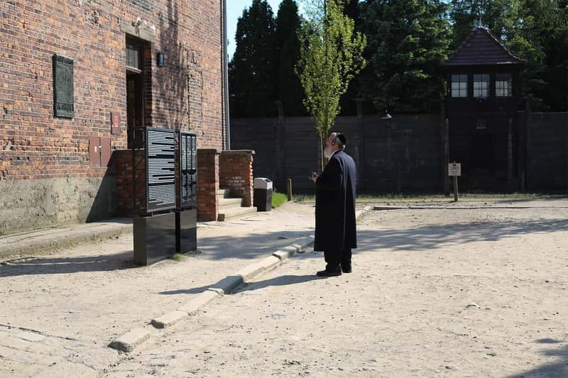 From Krakow: Auschwitz Museum and Wieliczka Salt Mine Tour - Price and value: is $282 per person fair for this day?