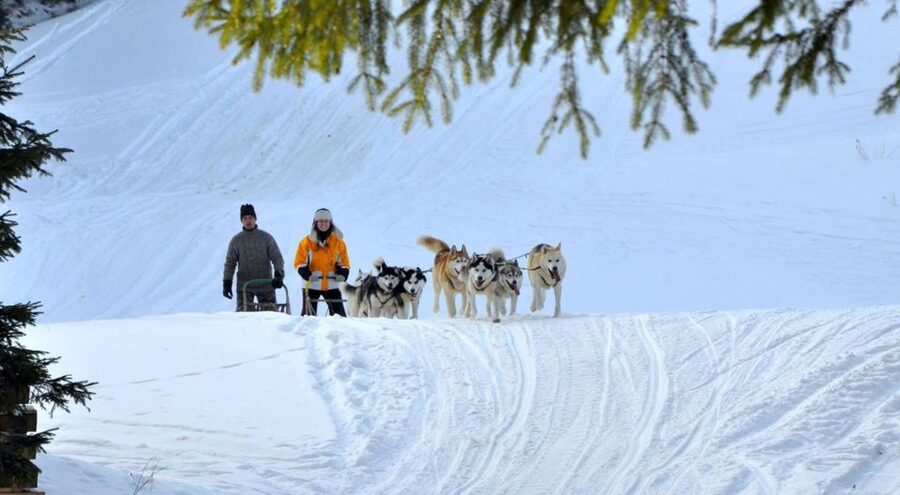 From Krakow: Dogsled Ride in Tatra Mountain - Stopping near Slovakia: what it means for the winter scenery