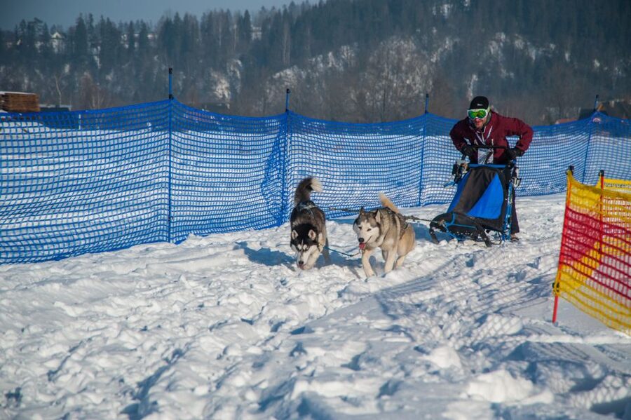 From Krakow: Dogsled Ride in Tatra Mountain - The dogsled ride itself: 2 km of winter speed and teamwork