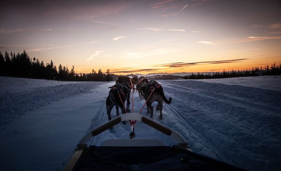 From Krakow: Dogsled Ride in Tatra Mountain - Winter valley vibes: why Chocholowska-style scenery is the point