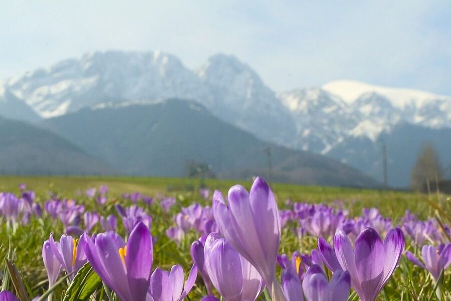From Krakow: Full-Day Tour of Zakopane and Tatra Mountains - Key Things That Make This Trip Worth Your Time