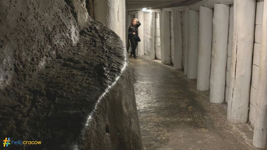 From Krakow: Guided Tour in Wieliczka Salt Mine - Who This Wieliczka Salt Mine Tour Fits Best