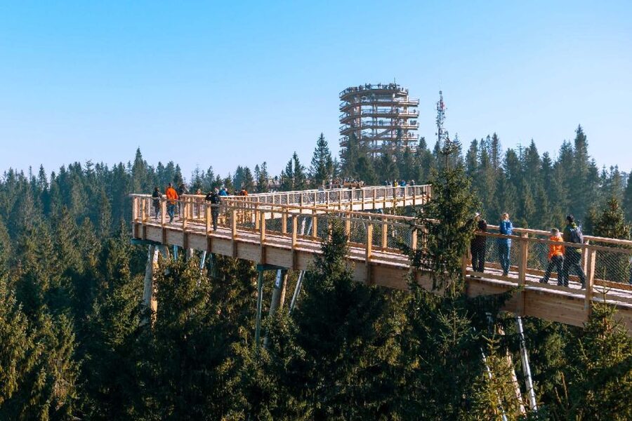 From Krakow: Morskie Oko and Slovakia Treetop Walk - Should you book this Krakow to Slovakia day trip?