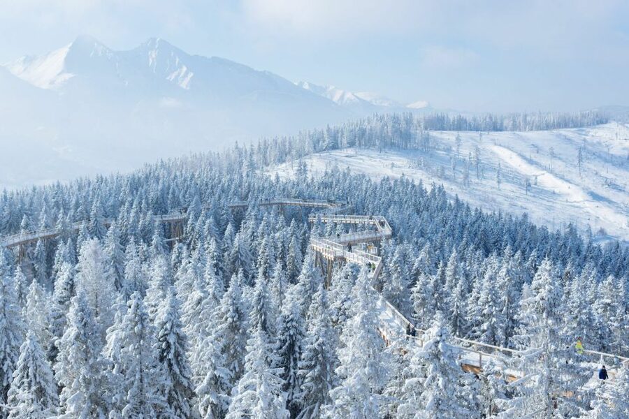 From Krakow: Morskie Oko and Slovakia Treetop Walk - Bachledova treetop walk: the high wooden bridge and why it works