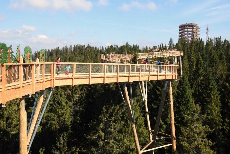 From Krakow: Morskie Oko and Slovakia Treetop Walk - Who should book this day trip, and who should skip it