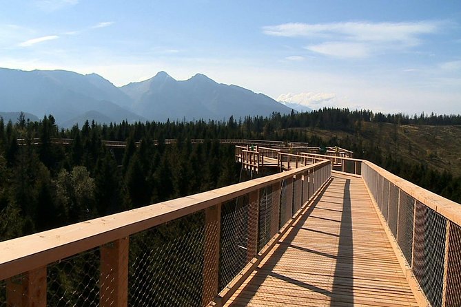 From Kraków: Slovakia Treetop Walk Bachledka and Zakopane - The Bachledka Treetop Walk in Ždiar: What You Actually Do