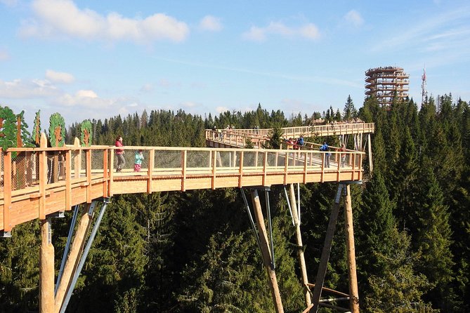 From Kraków: Slovakia Treetop Walk Bachledka and Zakopane - Walking High Through Pine Crowns, Then Choosing Your Exit