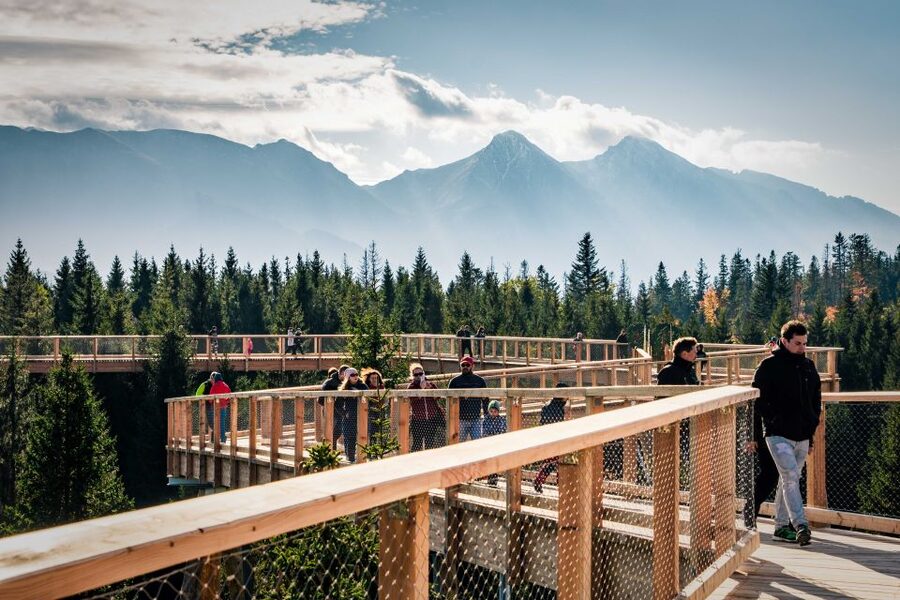 From Krakow: Slovakia Treetop Walk, Zakopane & Thermal Spa - Key things that make this day trip worth your time