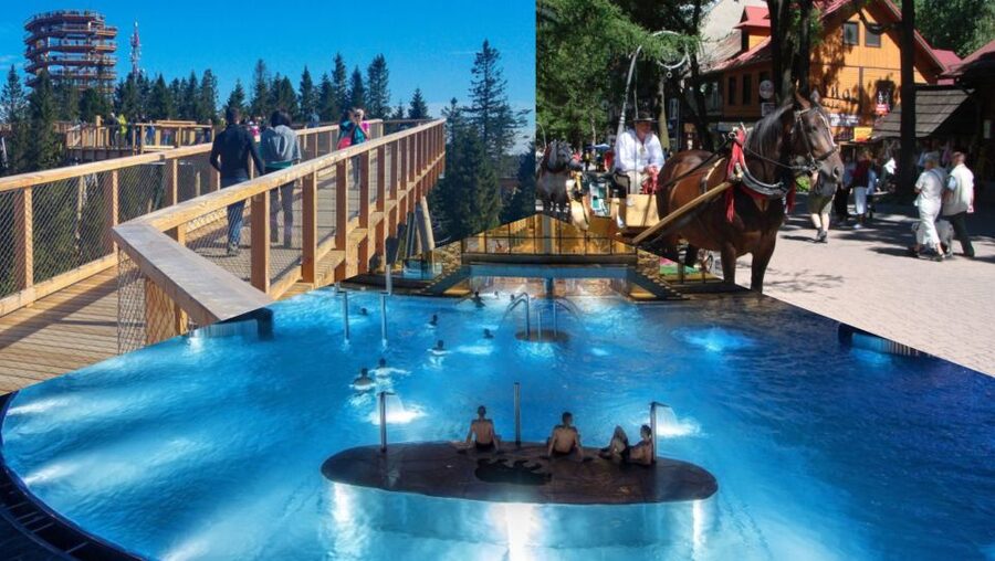 From Krakow: Slovakia Treetop Walk, Zakopane & Thermal Spa - Entering the treetops above the Pieniny forests