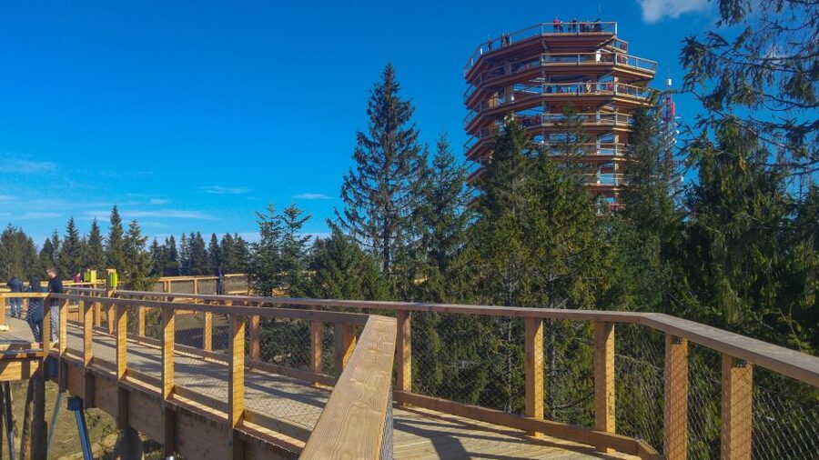 From Krakow: Slovakia Treetop Walk, Zakopane & Thermal Spa - Bachledka Treetop Walk: 24 meters up, tower views, and how to make it count