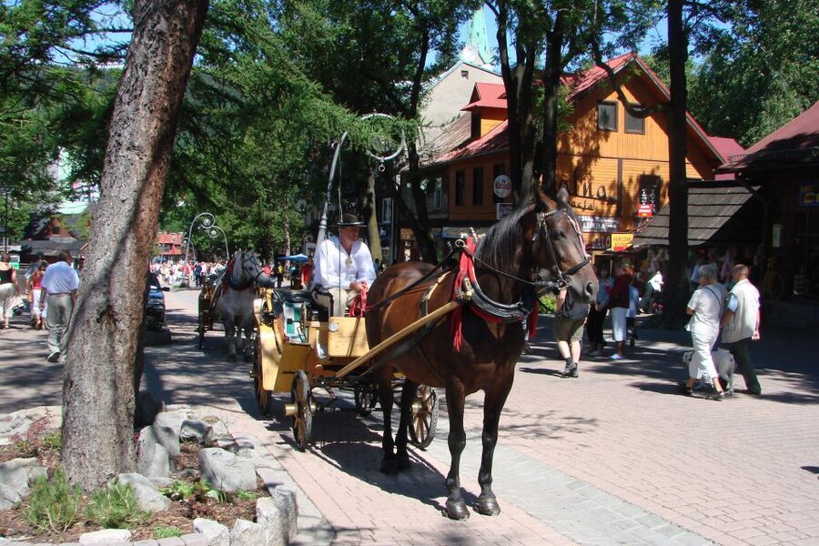 From Krakow: Slovakia Treetop Walk, Zakopane & Thermal Spa - Getting from Krakow to the mountains without burning your day