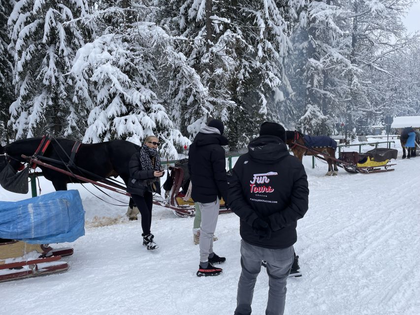 From Krakow: Snowmobile, Zakopane & Chochołowskie Baths - Who this tour suits best, and who should skip it
