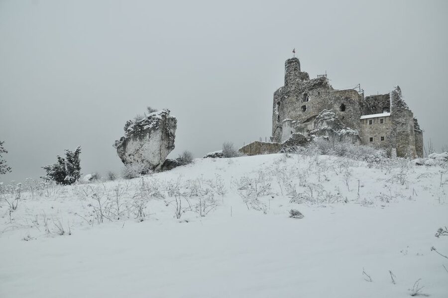 From Krakow: Trail of the Eagles’ Nests Day Tour - Mirów and Bobolice castles to finish strong