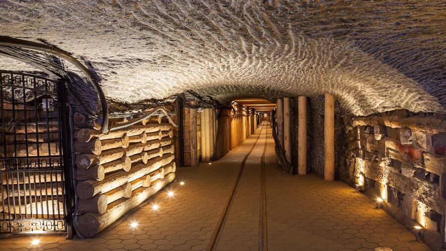 From Krakow: Wieliczka Salt Mine & Auschwitz Guided Trip - Who this tour is best for
