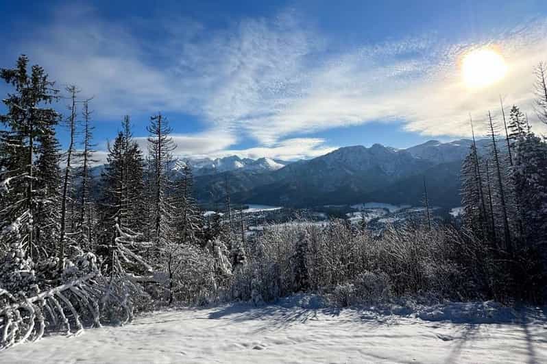 From Krakow: Zakopane Day Trip with Funicular & Food Tasting - Key highlights worth planning around