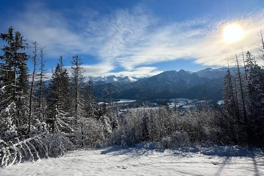 From Krakow: Zakopane Day Trip with Funicular & Food Tasting - Cheese and drink tasting: a short stop with big payoff