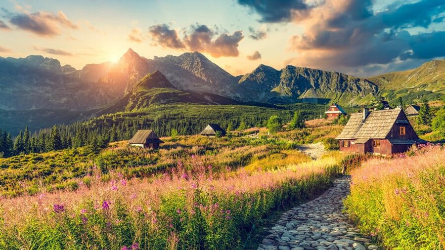 From Krakow: Zakopane Day Trip with Funicular & Food Tasting - Price and value: what you are paying for at $103 per person