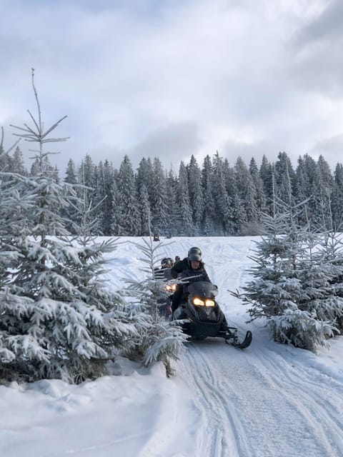 From Krakow: Zakopane Snowmobile NIGHT Ride, Bonfire, - Price and Logistics, What You Pay and What You Should Bring